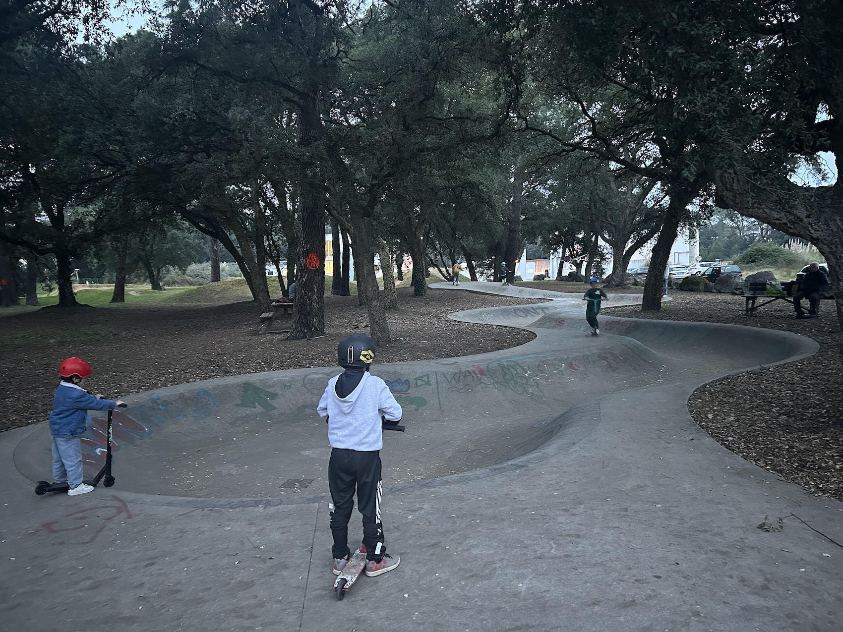 Tarnos skatepark